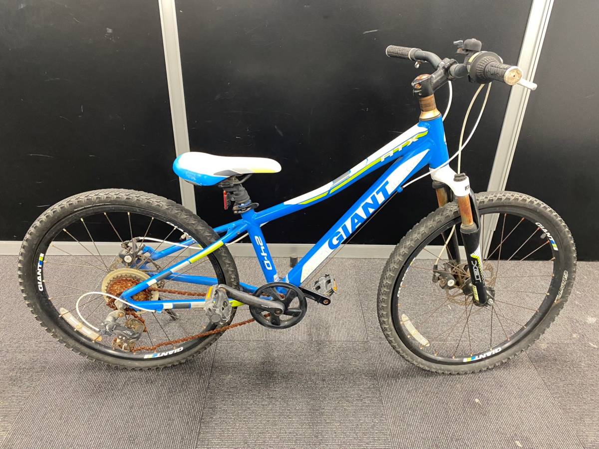 ジャイアントxcx se