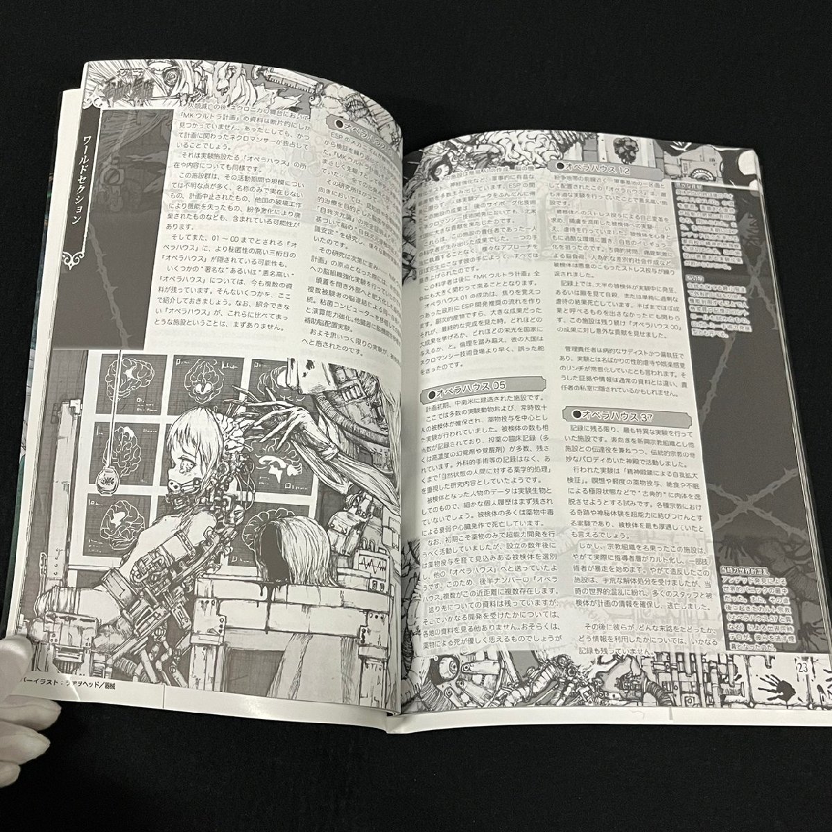 TRPG 神谷涼 つぎはぎ本舗 永い後日談のネクロニカ 最果の戯曲/箱庭の 