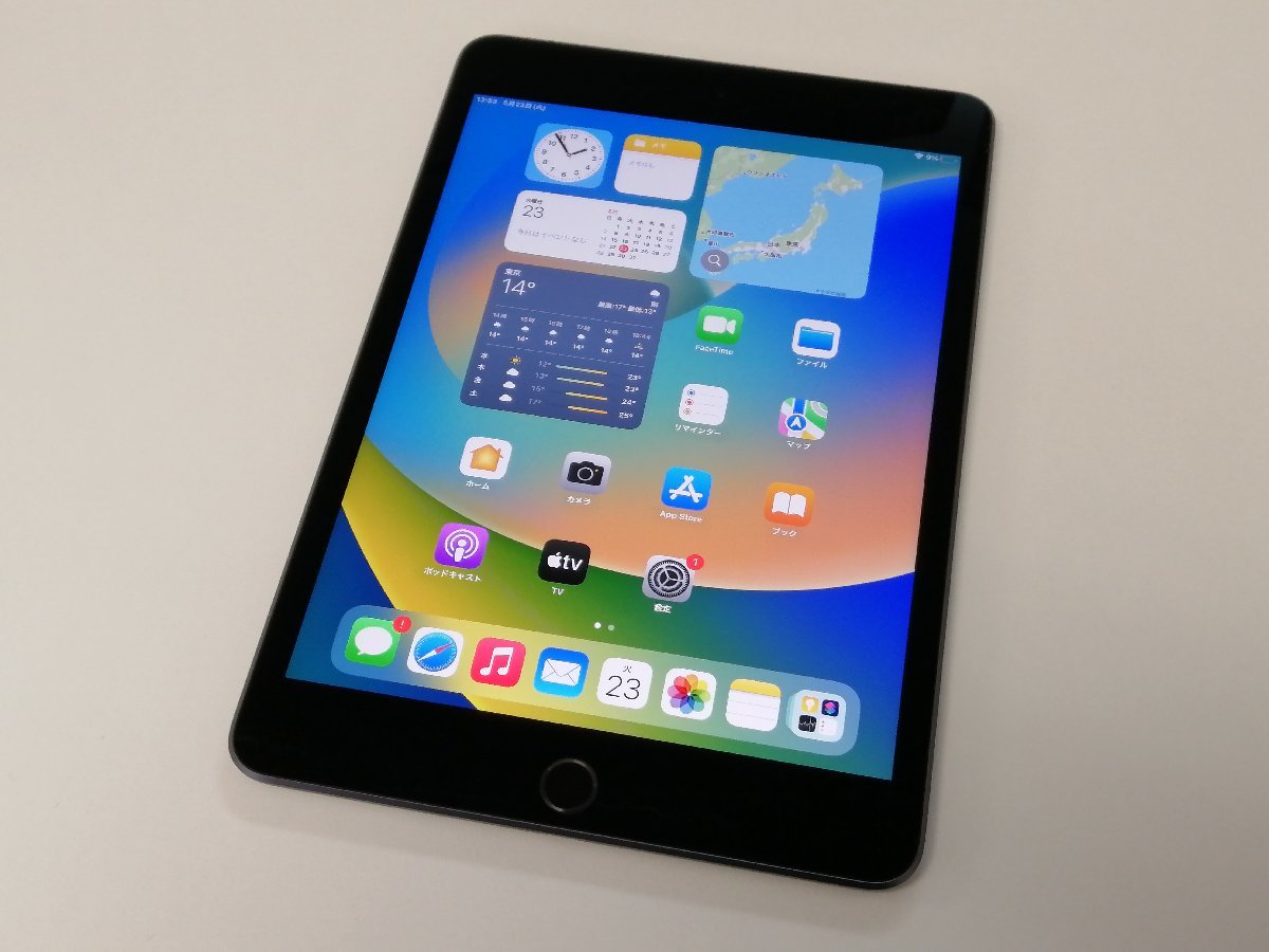 ショッピング大セール iPad mini 第5世代 WIFI + CELLULAR 64GB
