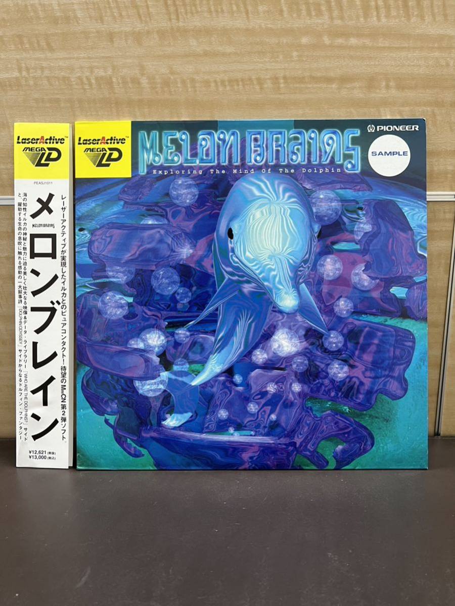 MD メガLD MELON BRAINS メロンブレイン パイオニア レーザー 