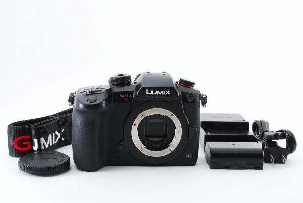 極上品】パナソニック Panasonic LUMIX GH5S DC-GH5S-K ボディ ミラー 