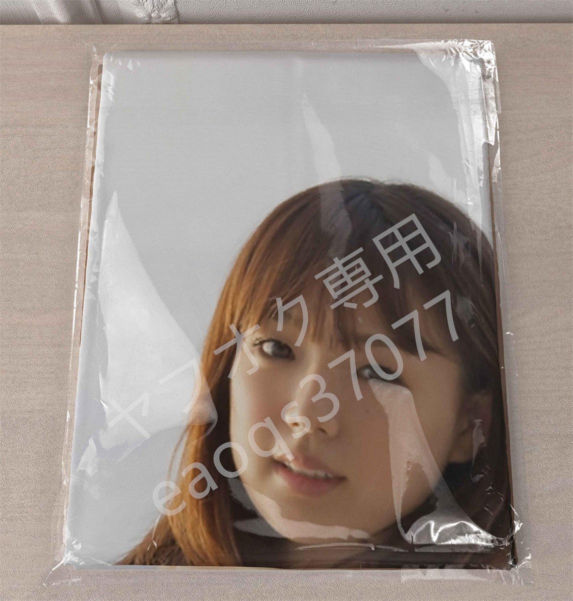 1円スタート/篠崎愛/160cm×50cm/2wayトリコット/抱き枕カバー(タレント