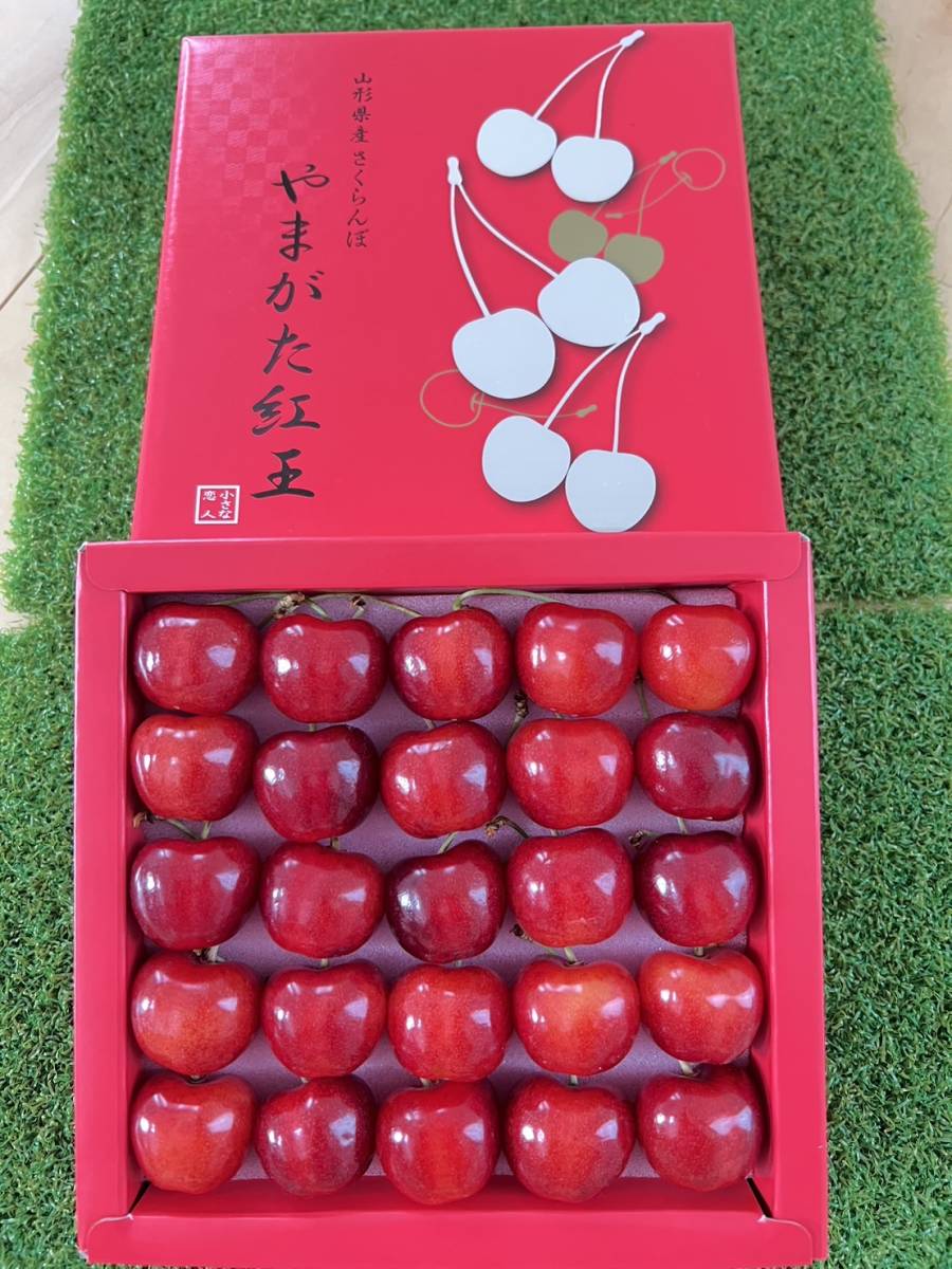3l サイズ さくらんぼやま 山形紅王 どこで買える 本日限定発送 山形