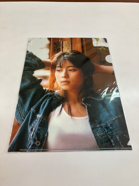 ZARD クリアファイル 坂井泉水 ③(ZARD)｜売買されたオークション情報 