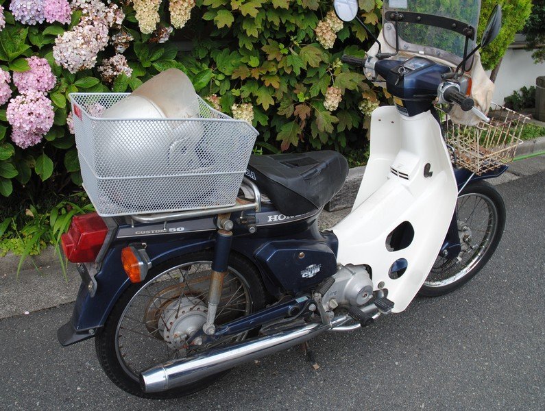 ☆綺麗【ホンダ / 本田 HONDA 原動機付き自転車 A-C50型 C50CMP Super