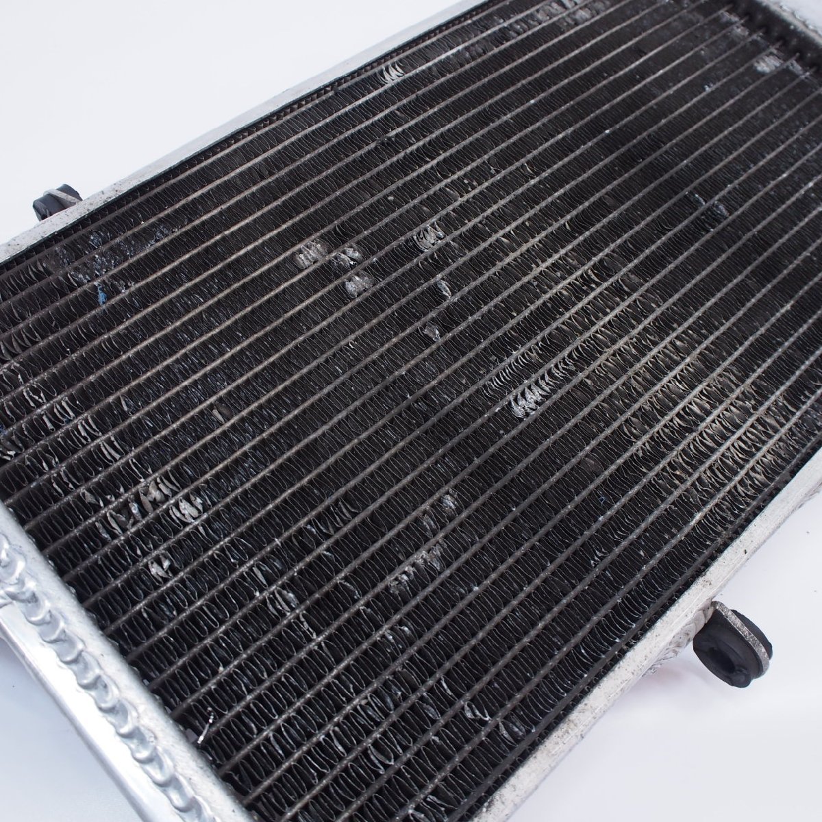 CBR1100xx ブラックバード アルミラジエター97～08 GPI