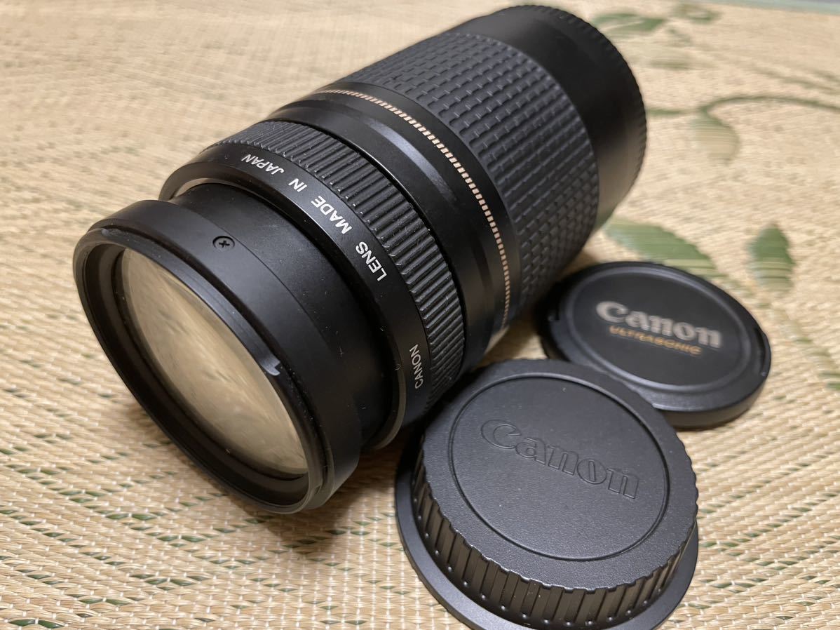 Canon EF 75-300mm F4-5.6 II キャノン カメラレンズ ZOOM LENS 望遠
