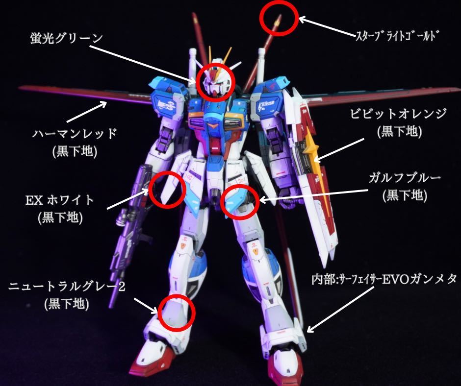 全塗装 RG フォースインパルスガンダム 完成品の入札履歴 - 入札者の順位