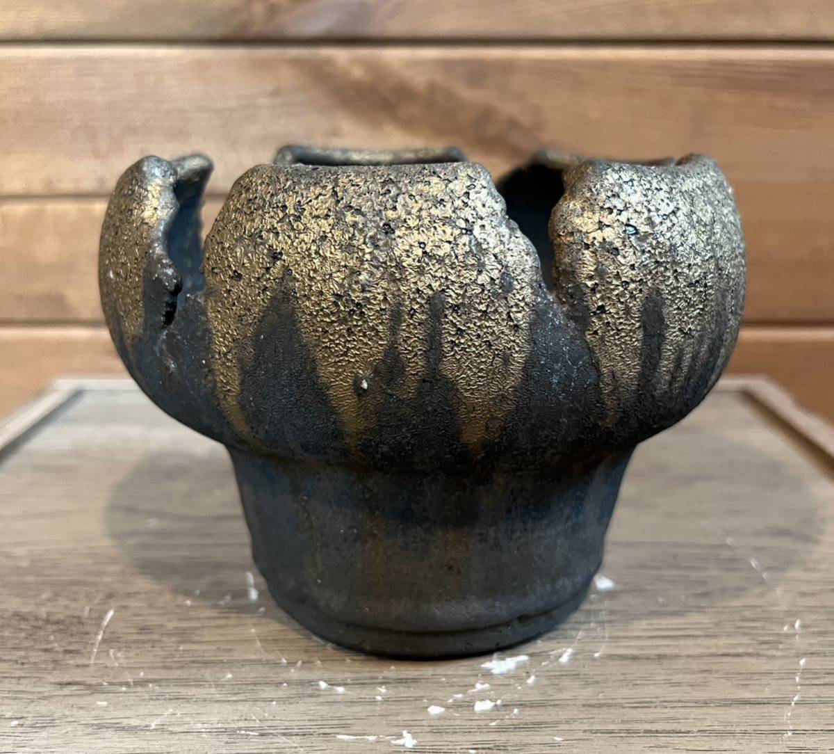 RAW LIFE FACTORY 検) y鉢 細川政己 パキプス グラキリス 2□T3 大鉢