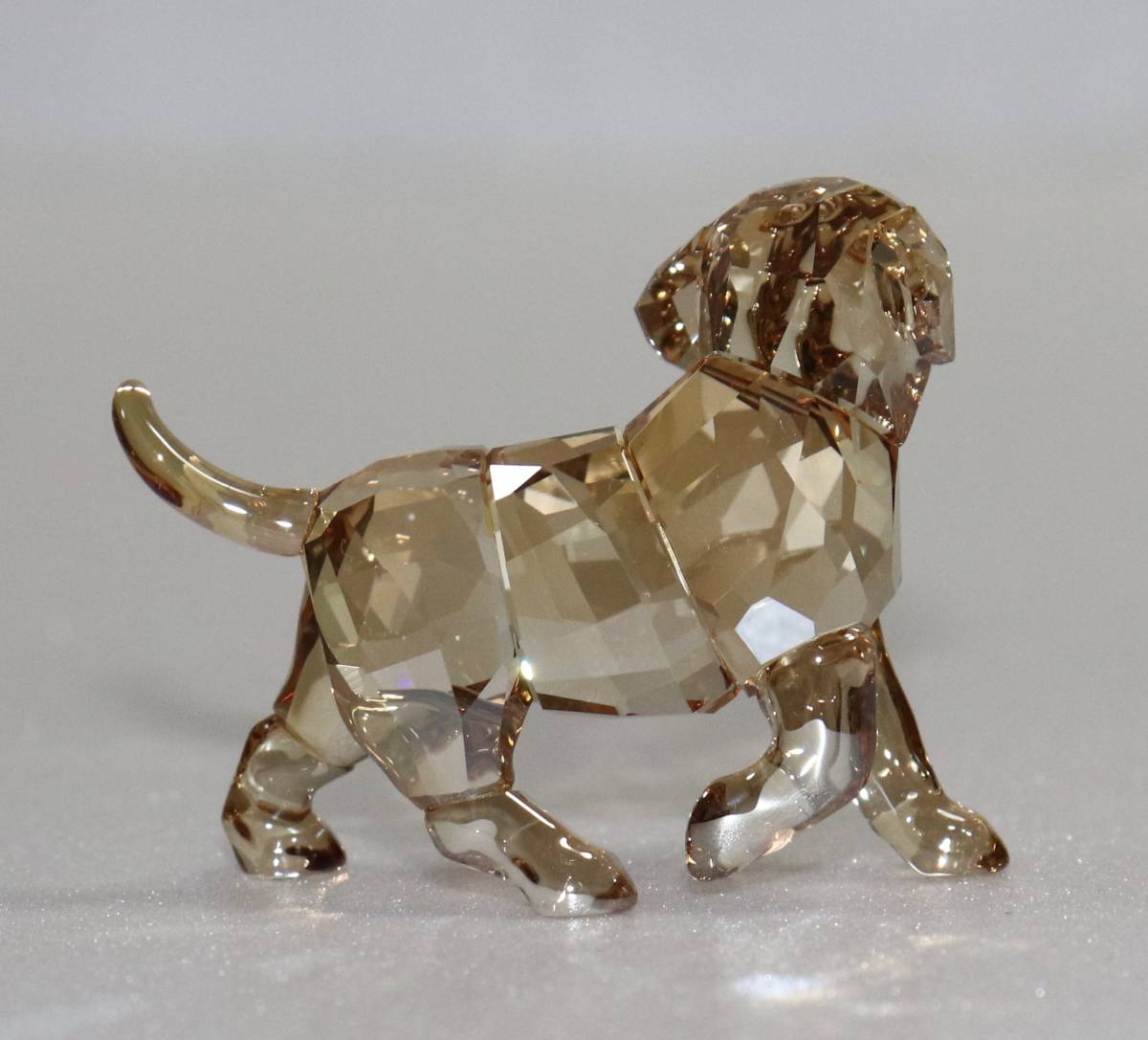 新品 本物 スワロフスキー 犬 置物 1142824 クリスタル SWAROVSKI 動物 