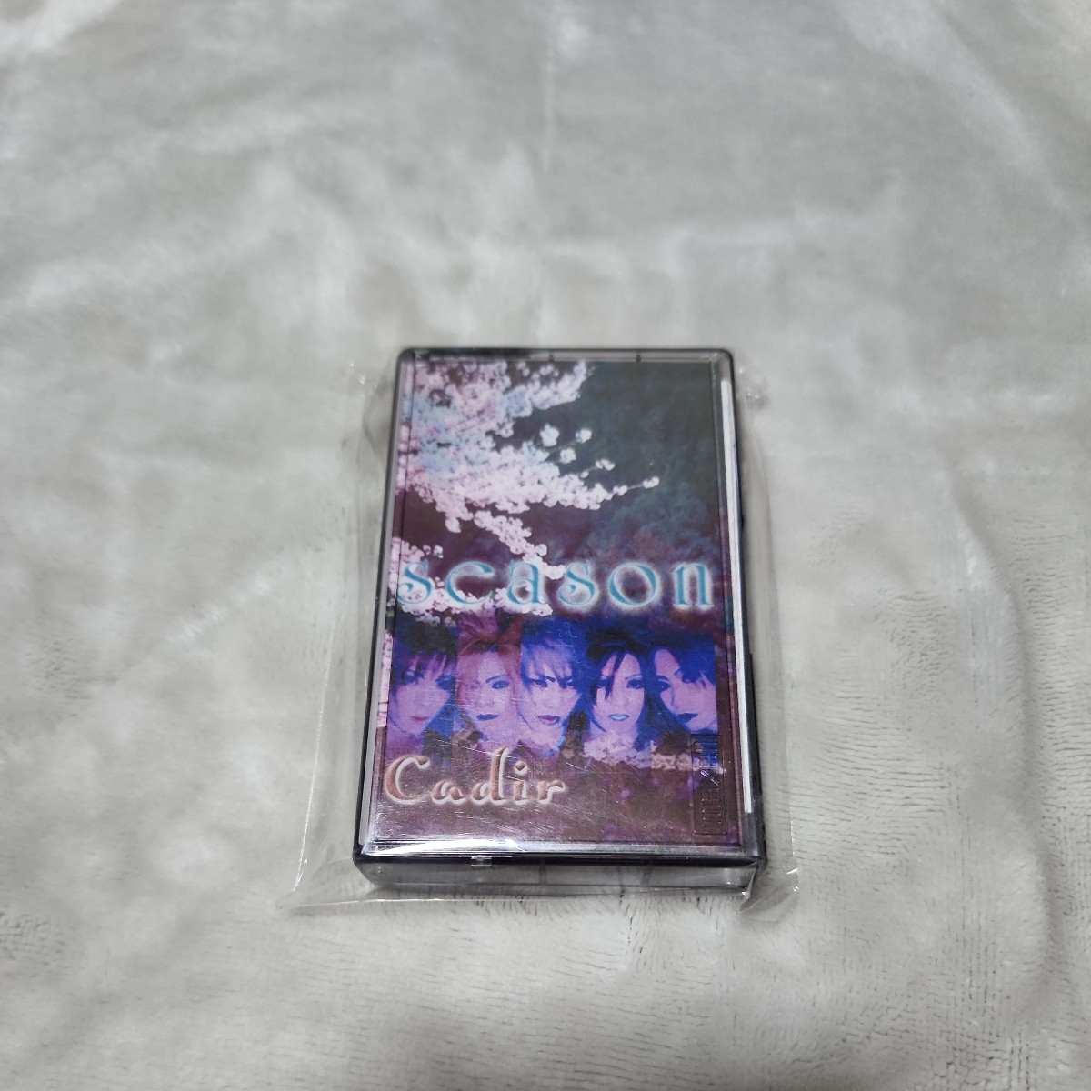 ビジュアル系Lubis Cadir⁄ROTTEN ORANGEV系