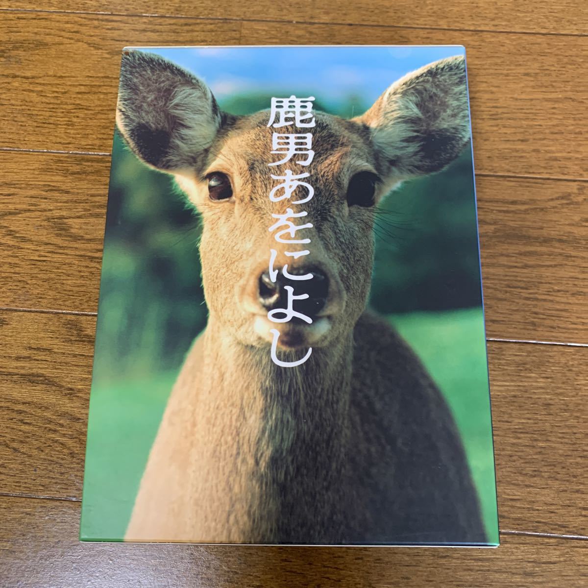 鹿男あをによし DVD-BOX ディレクターズカット完全版〈DVD6枚組