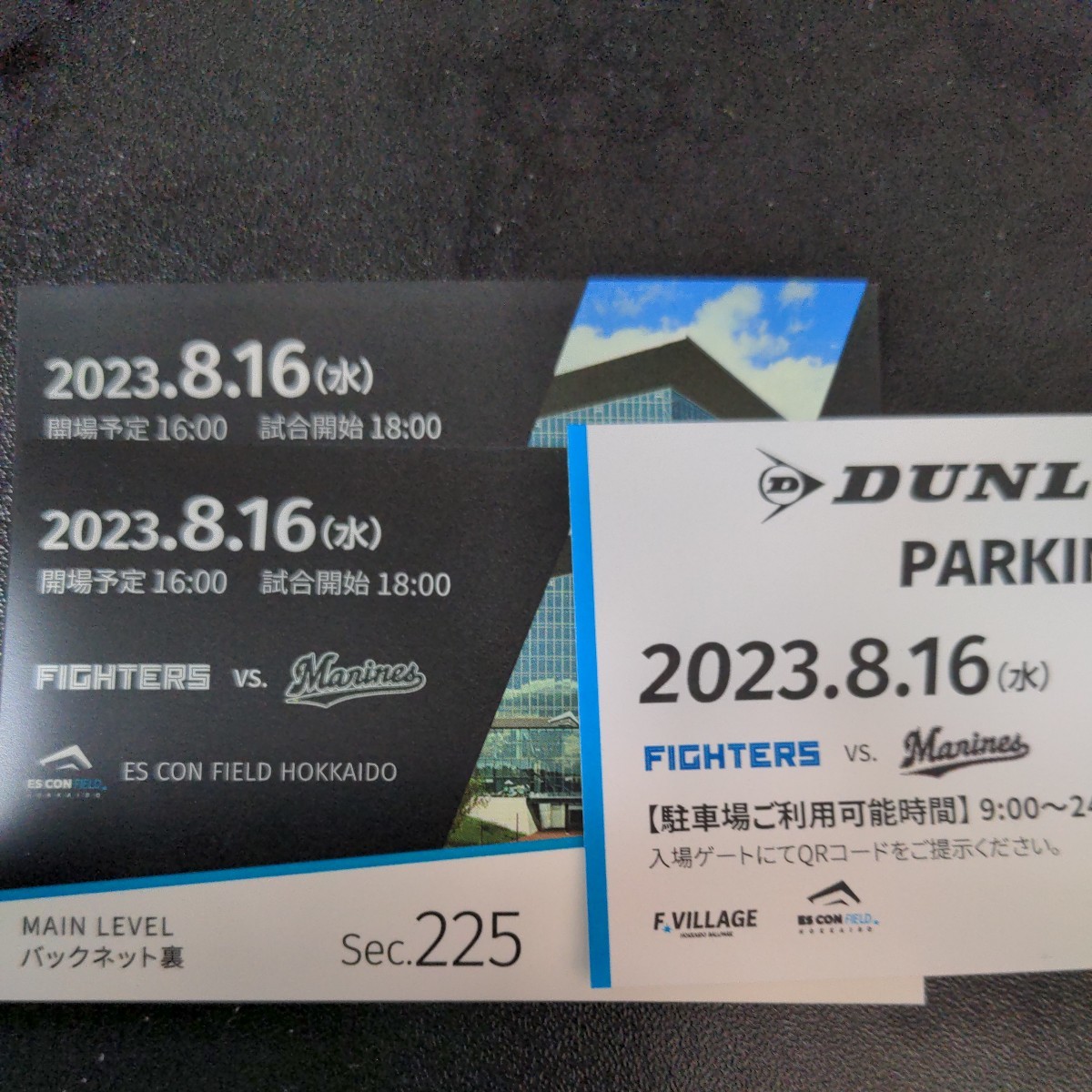 北海道日本ハムファイターズ観戦ペアチケット（エスコン