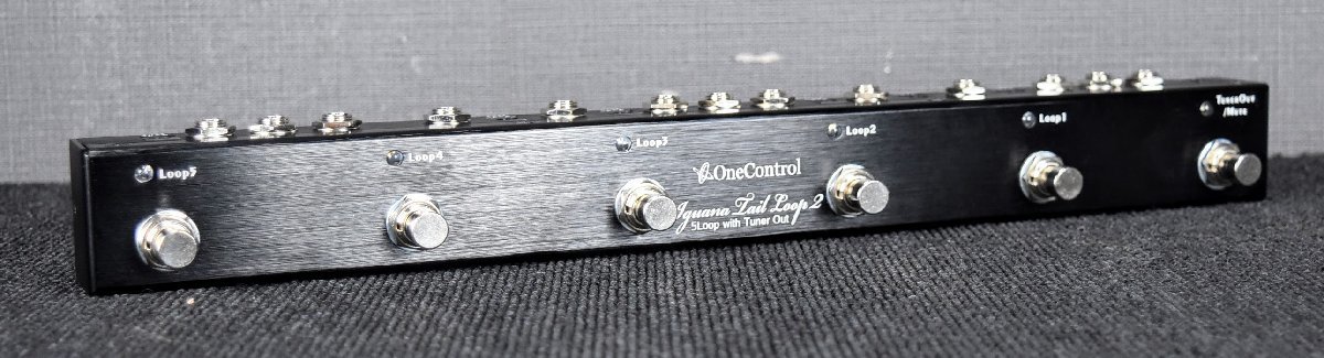 ☆動作品☆ OneControl(ワンコントロール) スイッチャー Iguana Tail