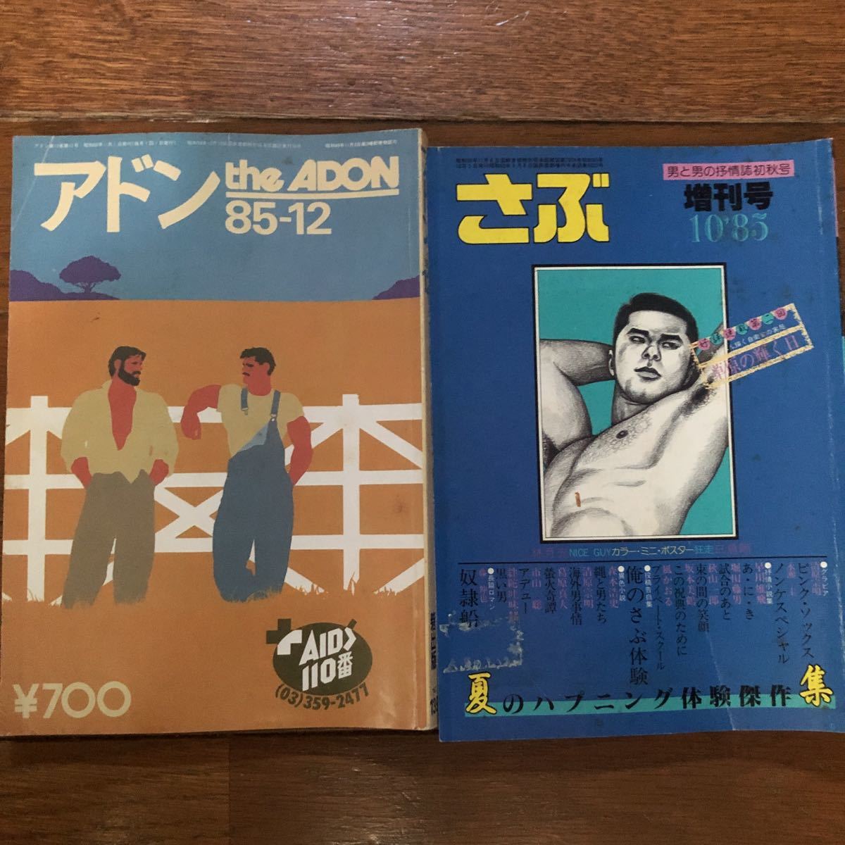 アドン1985年 12冊セット ☆【激レア】 ゲイ雑誌 『 アドン 』 『 さぶ 』1985 ゲイ 同性愛 BL