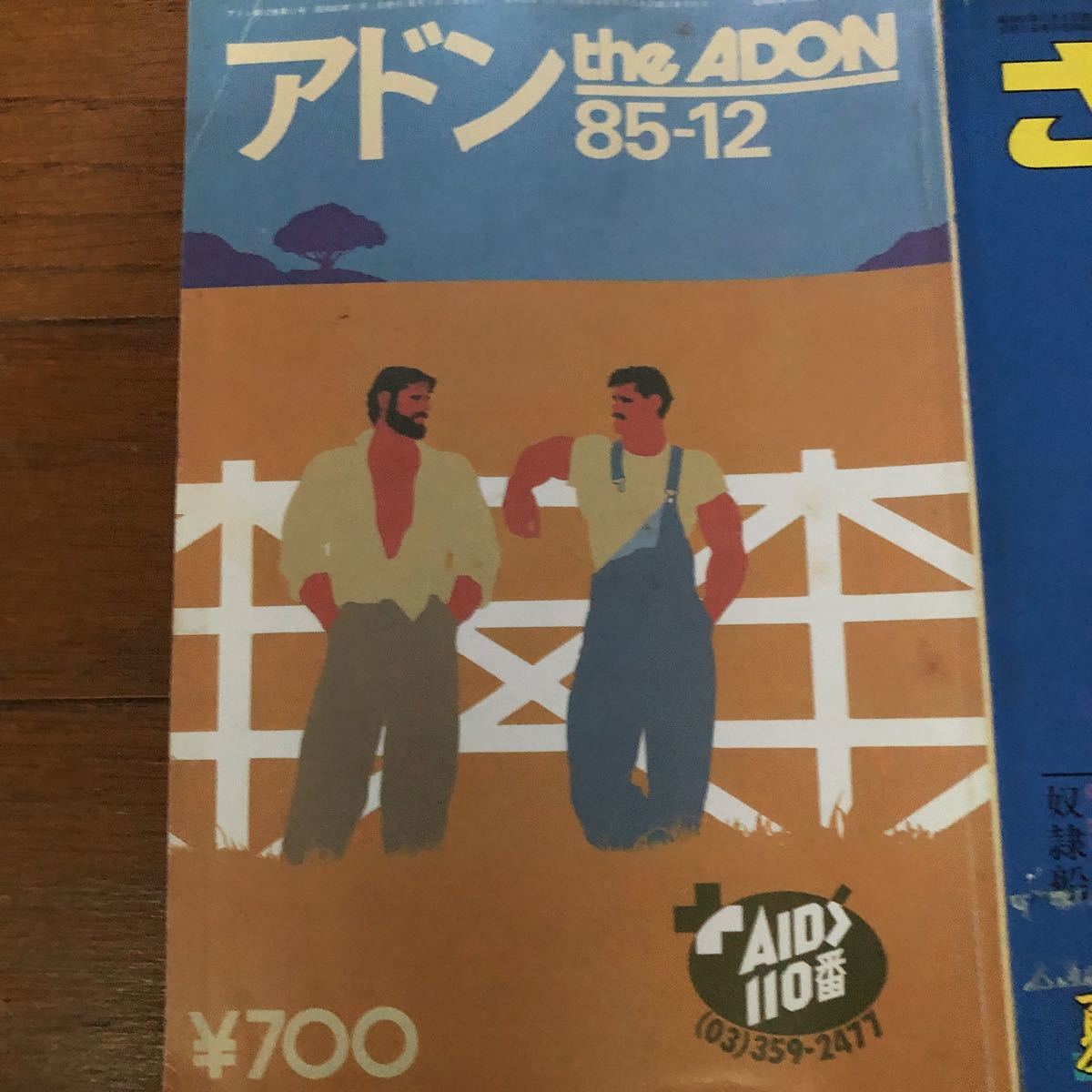 ☆【激レア】 ゲイ雑誌 『 アドン 』 『 さぶ 』1985 ゲイ 同性愛 BL