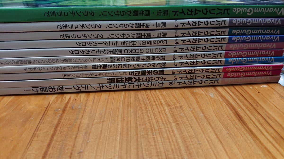 ビバリウムガイド No.1 2 3 4 5 6 7 8 9 10 10冊 爬虫類 両生類 