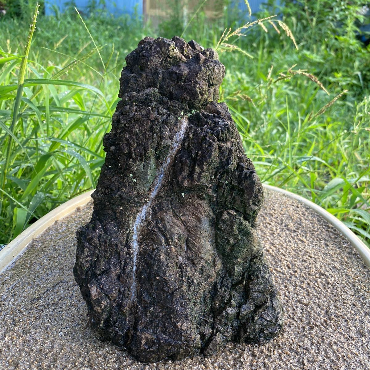 滝石 石付き 苔 山野草 盆栽 縮緬石 小さな庭石 坪庭 【公式通販】