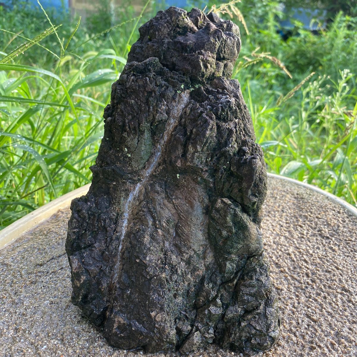 滝石 石付き 苔 山野草 盆栽 縮緬石 小さな庭石 坪庭 【公式通販】