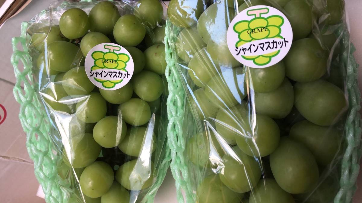 シャインマスカット 秀品 大房 2房 (計1.2kg以上)