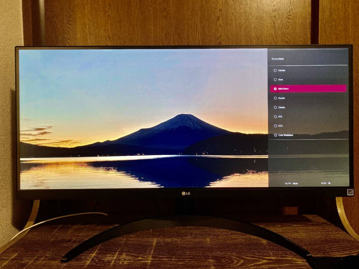 2023年製 LG ウルトラワイドモニター 29WP500 29インチ 美品の