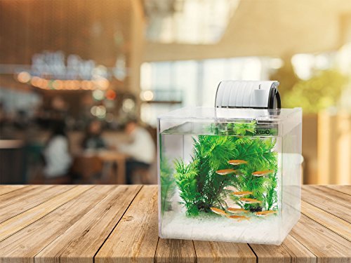 【売れ筋】 VCテトラ (Tetra)IU-NKテトラ 静かなメダカ飼育セット SF-17KF 水槽 アクアリウム メダカ_2