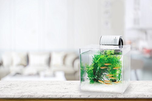 【売れ筋】 VCテトラ (Tetra)IU-NKテトラ 静かなメダカ飼育セット SF-17KF 水槽 アクアリウム メダカ_3