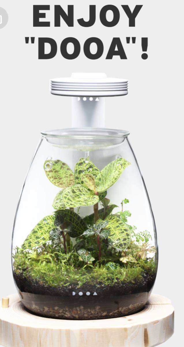 DOOA ADA ガラスポット SHIZUKU フルセット美品③ DOOAしずく DOOA