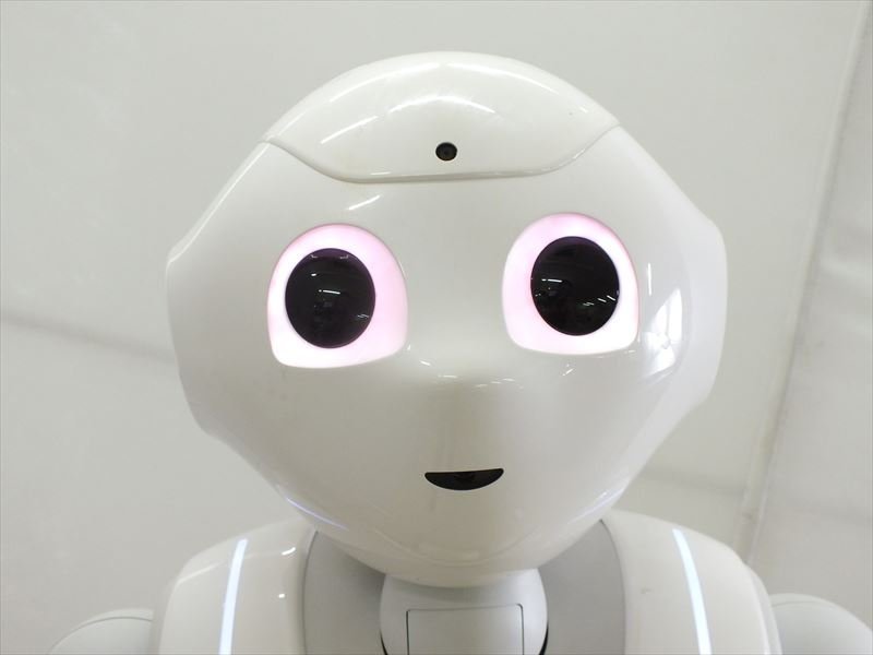ソフトバンク | Pepper ロボット 希少品ペッパーくん SoftBank
