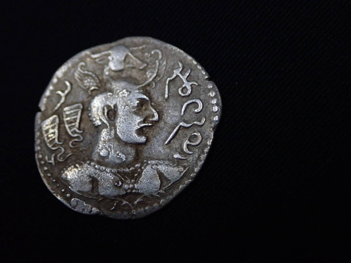 ガンダーラ ササン朝 銀貨 ドラクマコイン