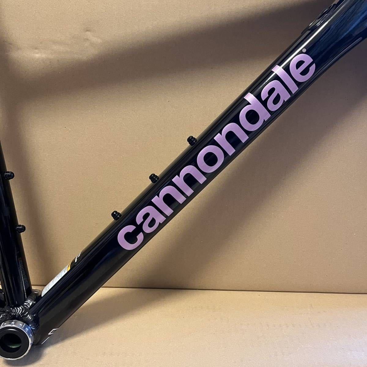 2019モデル キャノンデール オプティモ　フレームフォークセット cannondale caad optimo キャノンデール CAAD OPTIMO アルミ カーボン