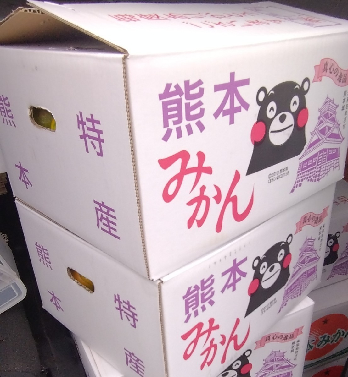 20kgみかんMサイズ【送料こみ】熊本県産極早生みかん“肥のさやか”20kgMサイズ★食べやすい人気の大きさ★甘くて酸味の少ないみかん