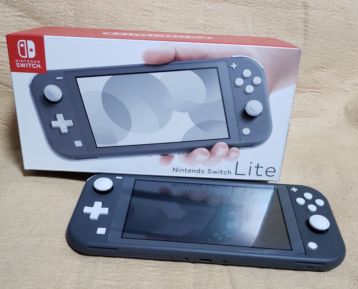 ジャンク品 Nintendo Switch Lite 本体 グレー 任天堂 ニンテンドー