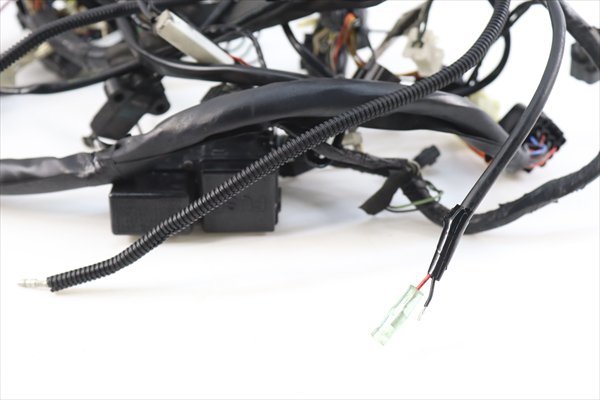 ミニモト : – ミニモト公式 キットバイク用12Vメインハーネス ミニモト : – ミニモト公式 キットバイク用12Vメインハーネス