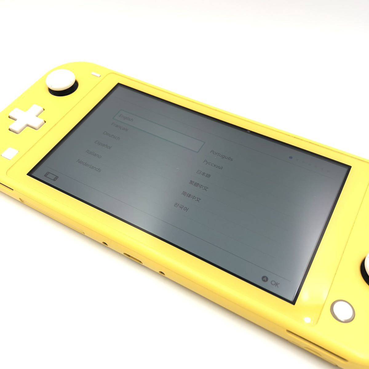 10.31TC-D490☆ニンテンドー スイッチライト本体のみ☆Nintendo Switch