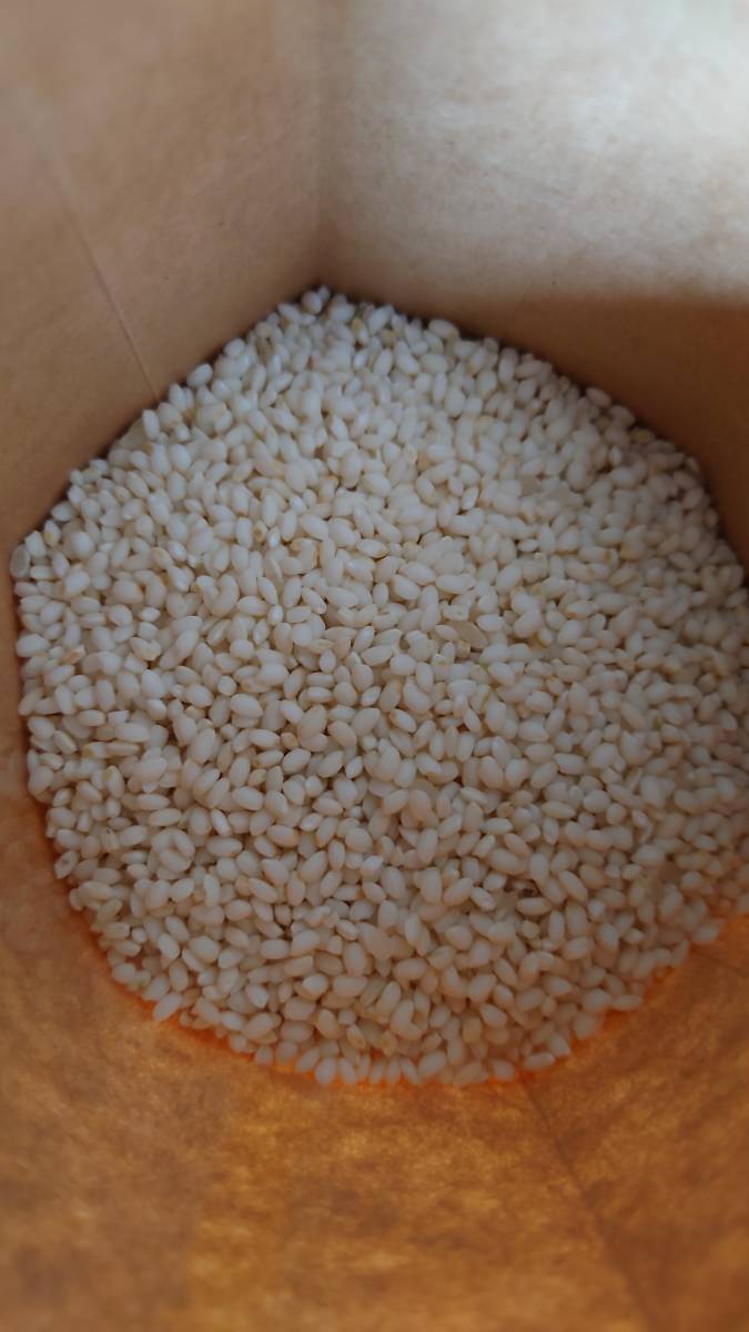 令和5年度　新米　こがね餅　30kg 無農薬、天日干し　農家直送 精米無料