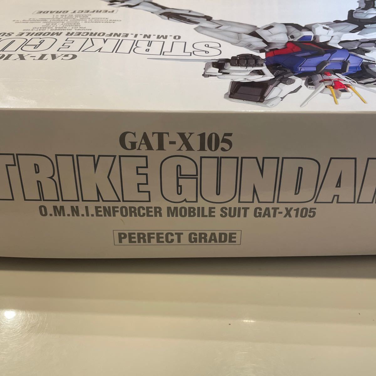 初回発売月製　GAT-X105 ストライクガンダム （1/60スケール パーフェクトグレード（PG） 機動戦士ガンダムSEED 0131413） GAT-X105 ストライクガンダム 1&frasl;60 中古 (機動戦士ガンダムSEED) (ガンプラ)