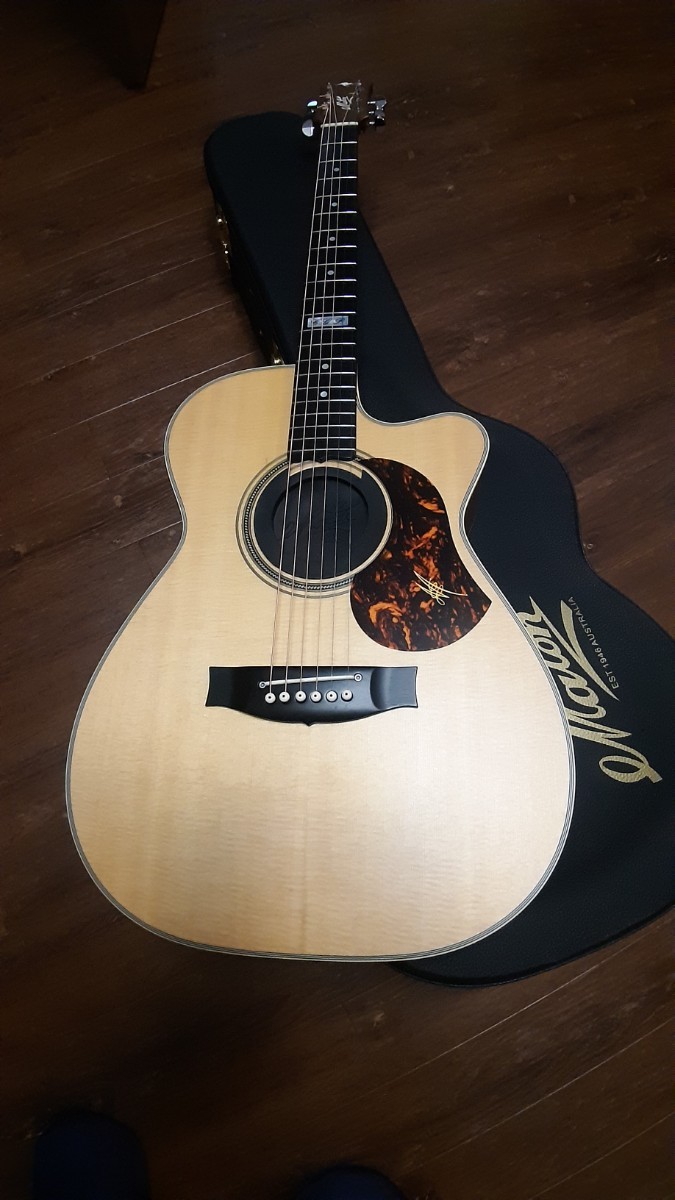 maton アコギ 【公式通販】