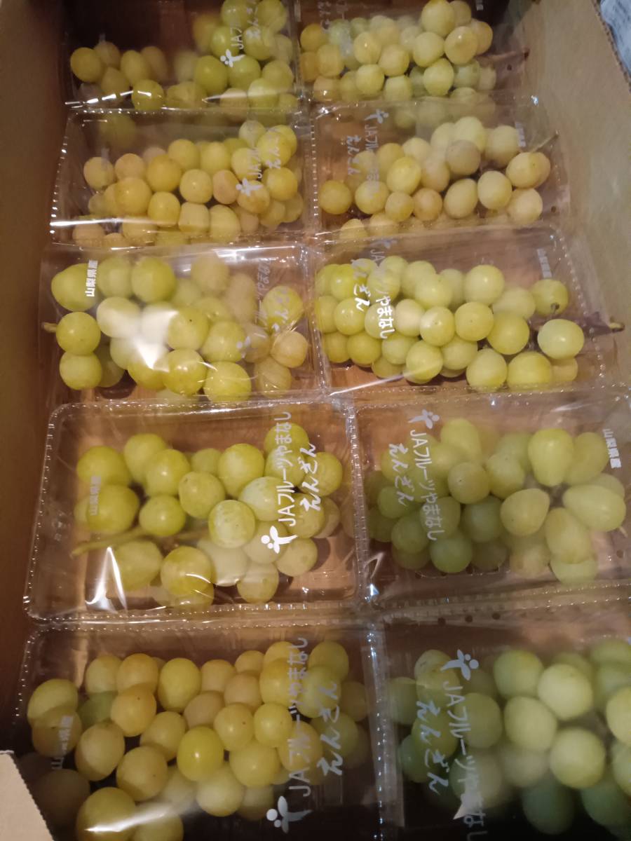 シャインマスカット4キロ