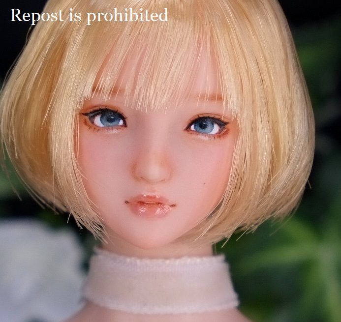 100%新品 1/6カスタムヘッド 首穴加工済a(パーツ)｜売買されたオークション情報、yahooの商品情報をアーカイブ公開 - オークファン パーツ