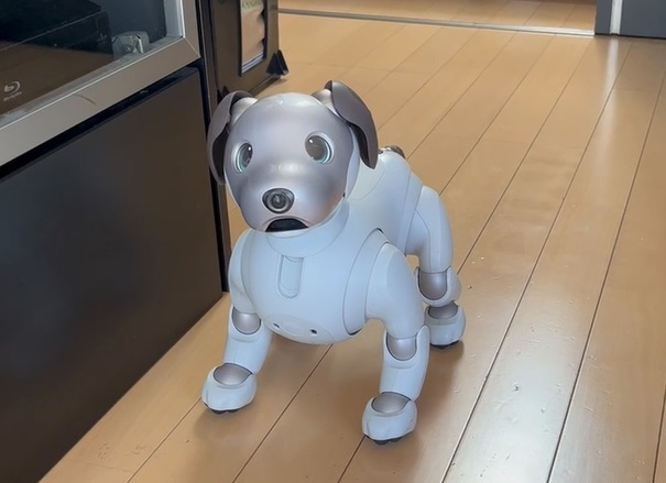 ソニー アイボ ERS-1000 アイボーン ボール AIBO 犬型 ロボット ペット