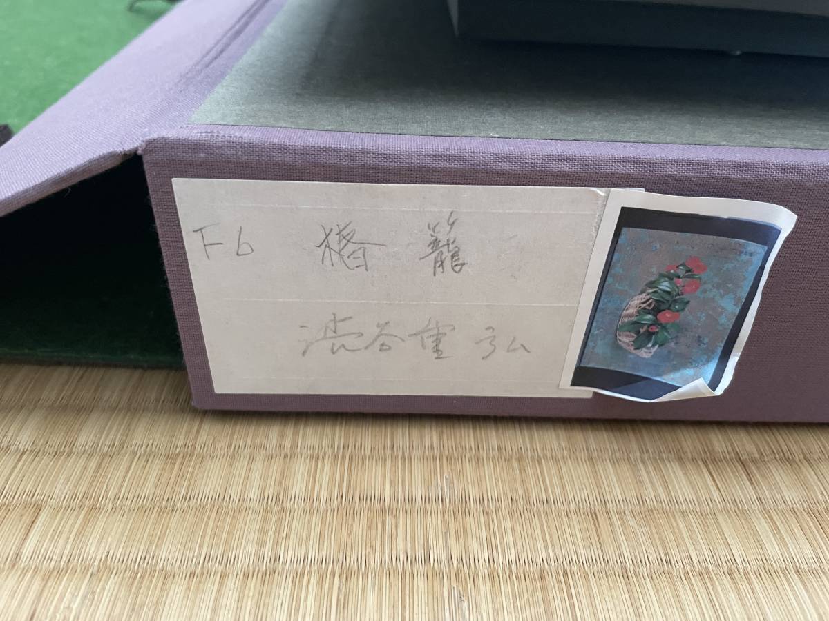 油彩 渋谷重弘 椿籠 F6