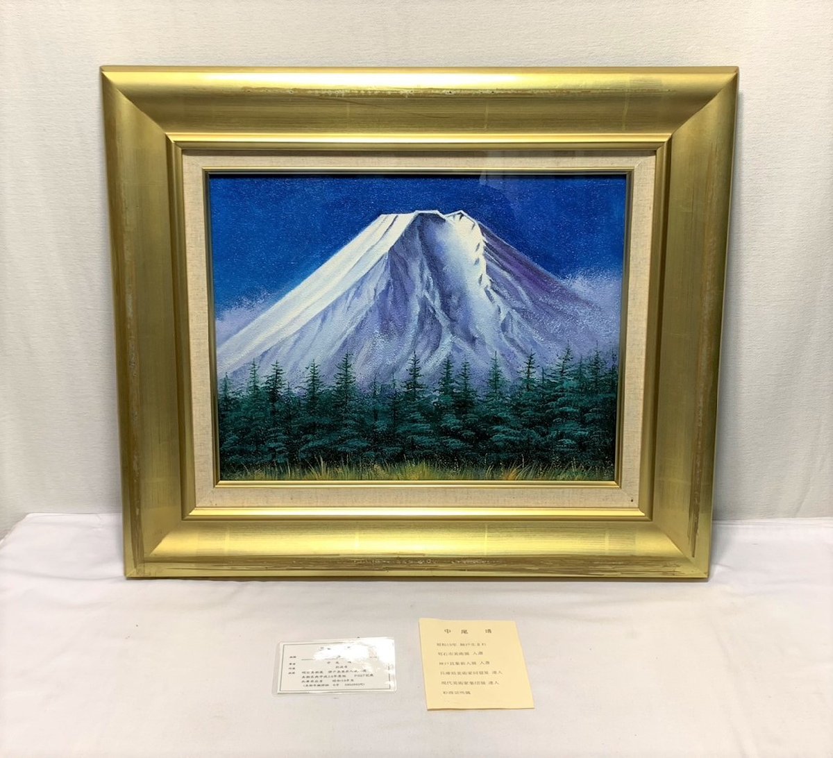HOT，セール 中尾 靖 なかお やすし 富士 6号 油絵 008928(自然、風景画)｜売買されたオークション情報、yahooの商品情報をアーカイブ公開 - オークファン 自然、風景画
