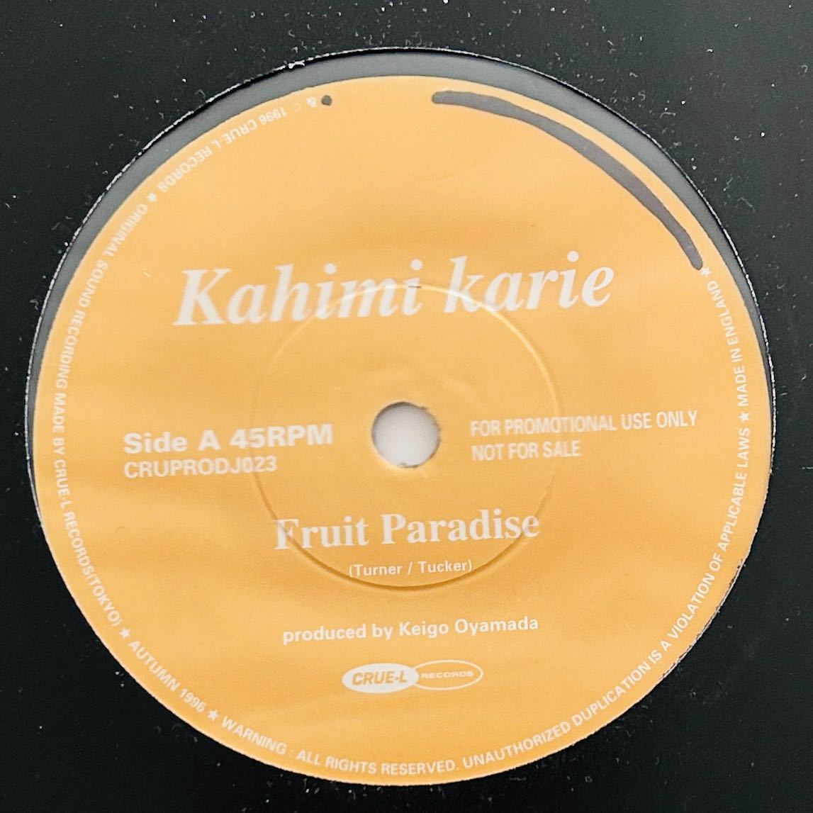 希少品 フリッパーズギター プロモ盤 希少品 フリッパーズギター