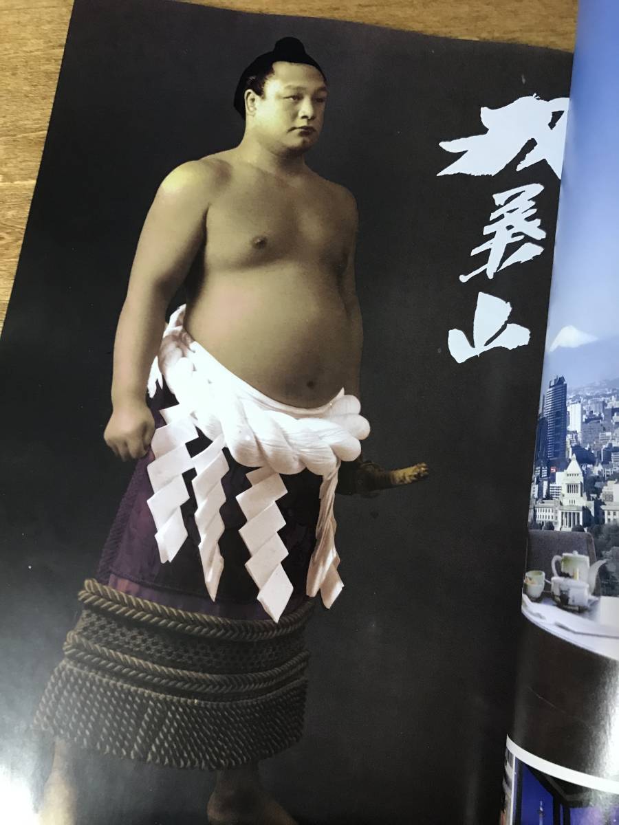 歴代横綱71人 実物大手型ポスター付録 大鵬 北の湖 千代の富士