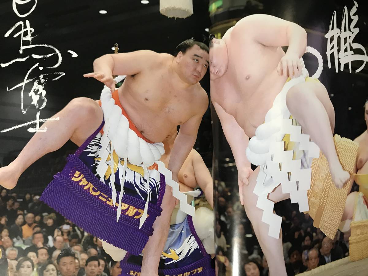 歴代横綱71人 実物大手型ポスター付録 大鵬 北の湖 千代の富士