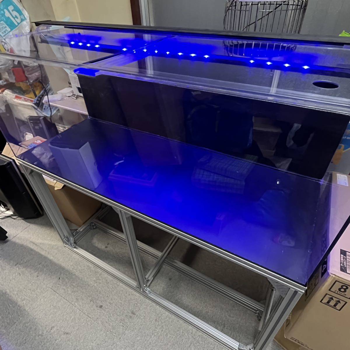 大型アクリル水槽 LEDライト付き 良品 大型水槽 120cm アクリル水槽 ブラックライト 照明付 kotobuki