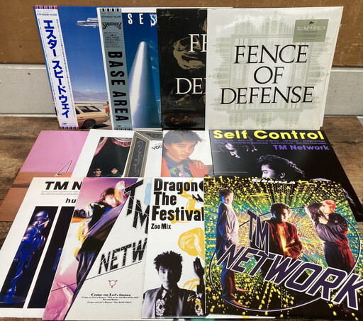 に-4-7】80 TMネットワーク FENCE OF DEFENSE LP 12インチ 13枚まとめ