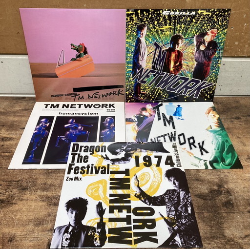 に-4-7】80 TMネットワーク FENCE OF DEFENSE LP 12インチ 13枚まとめ