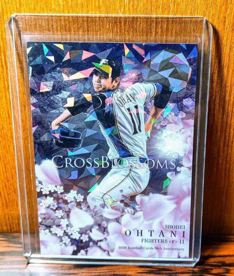 0 BBM 30th ⁄ Anniversary - Blossoms Cross ミントモール MINT Bbm 